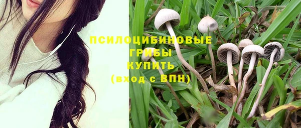 соль ск Алексеевка