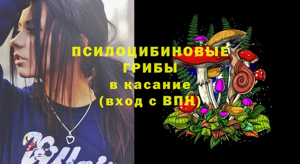 не бодяженный Алзамай