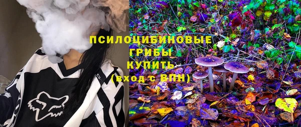 не бодяженный Алзамай