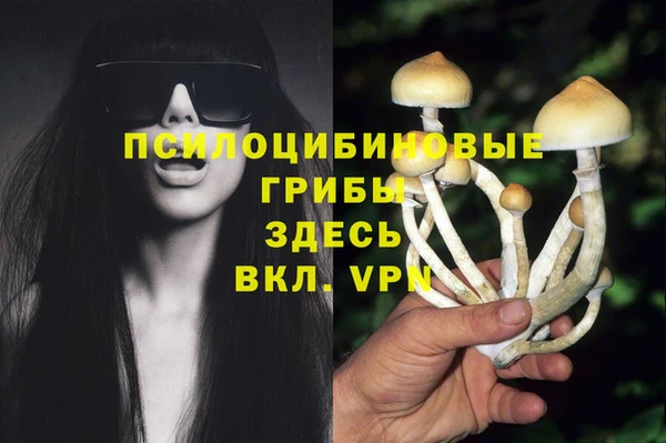 марки lsd Алексин