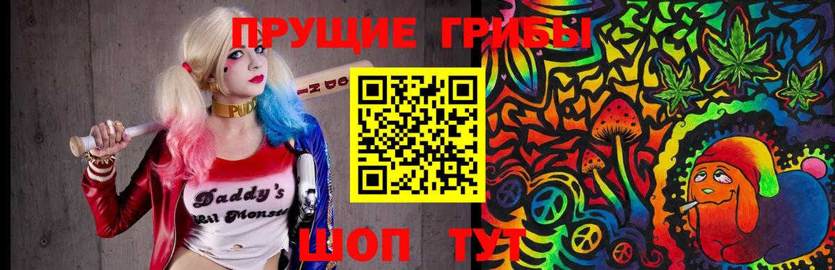 Псилоцибиновые грибы GOLDEN TEACHER Шатура